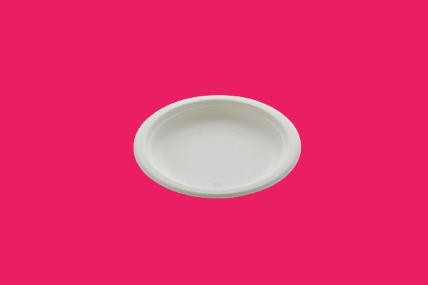 6 Inche PLAIN ROUND PLATE